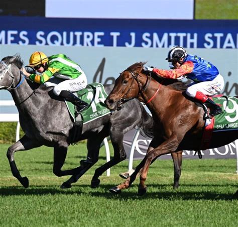 Imperatriz Heads TJ Smith Stakes 2024 Field & Odds.
